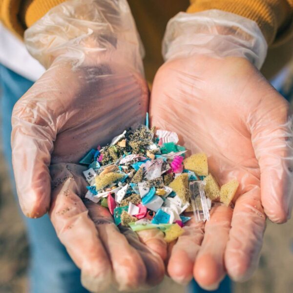 Unseen Pollution: How Your Clothes Are Shedding Microplastics