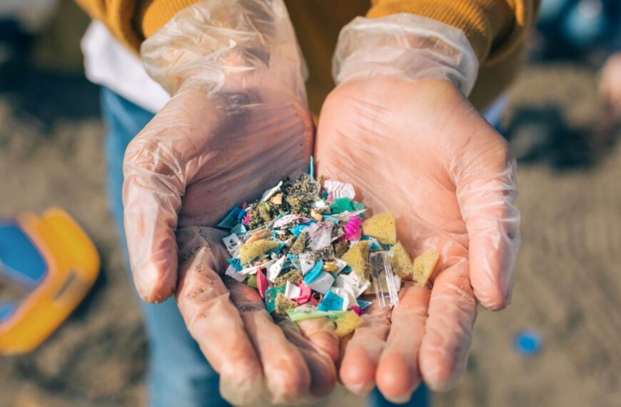 Unseen Pollution: How Your Clothes Are Shedding Microplastics